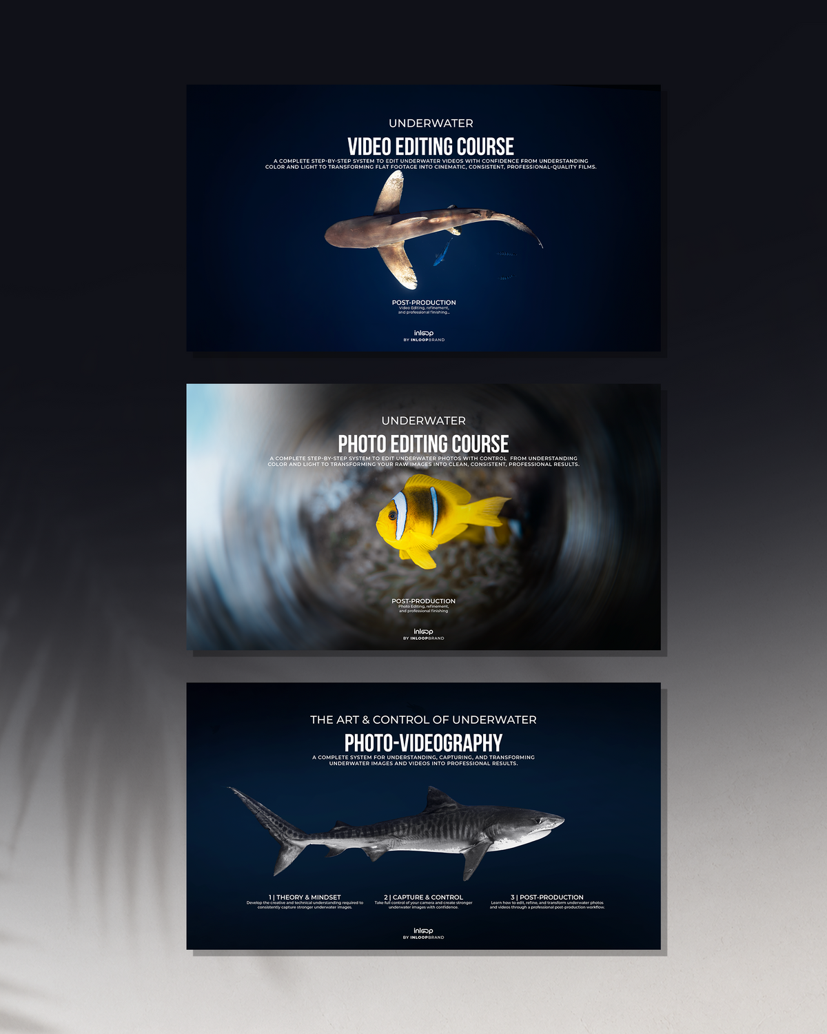 underwater photography videography course