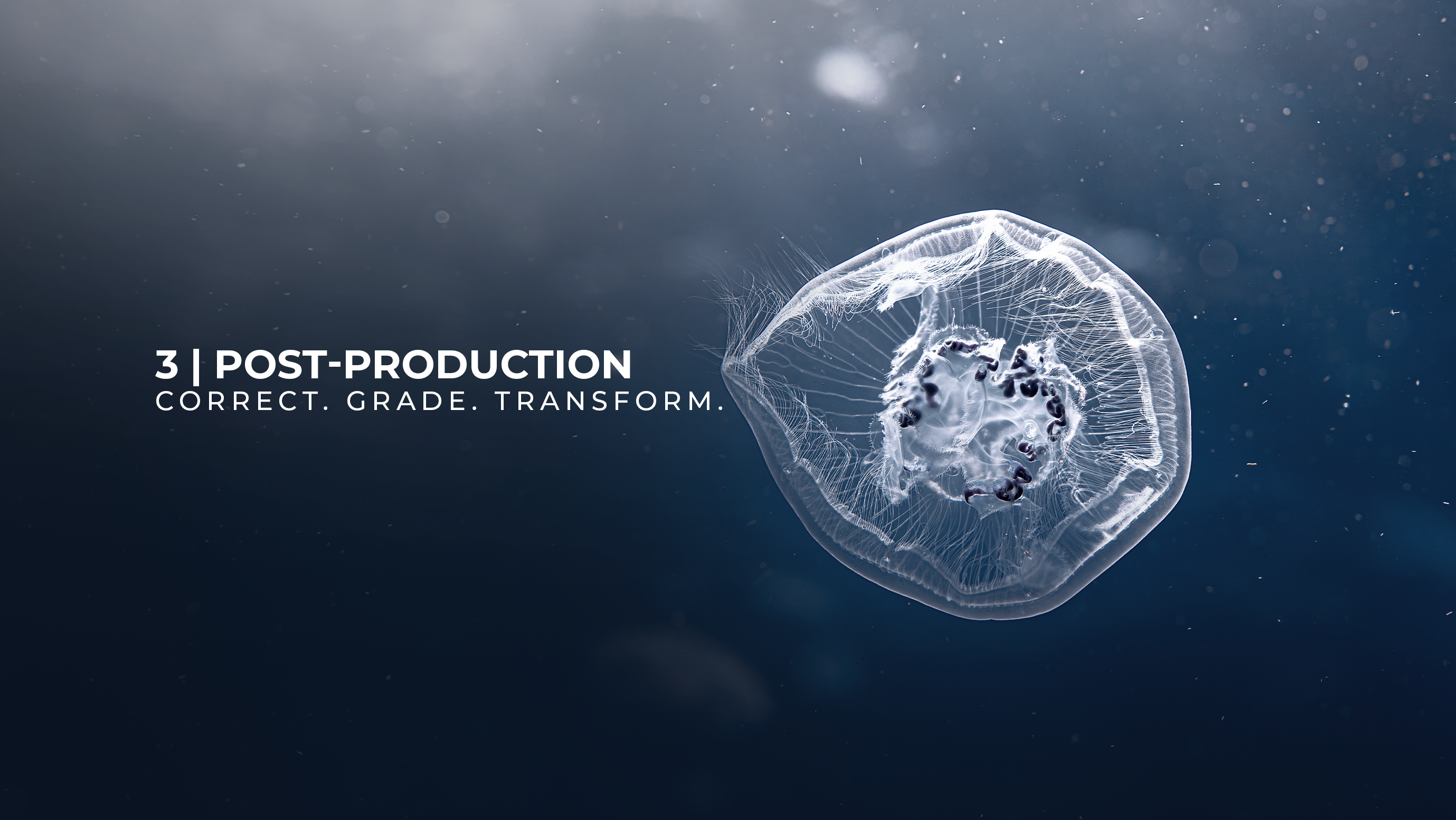 The Art & Control of Underwater Photo-Videography