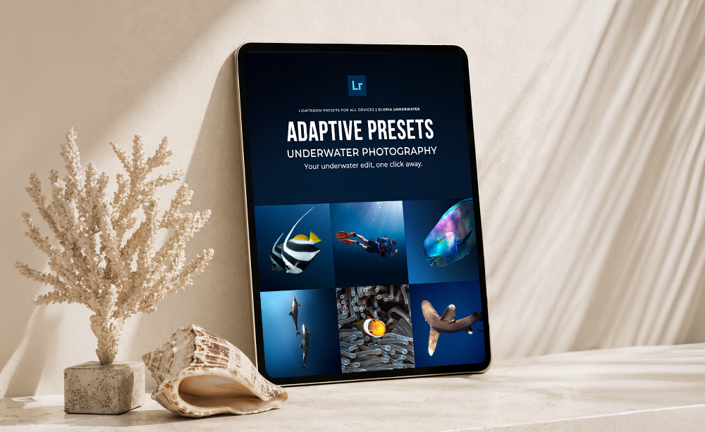 A tablet device leaning on a tabletop beside a coral-like decorative plant and a seashell, displaying a dark underwater-themed preset cover with the text 'ADAPTIVE PRESETS UNDERWATER PHOTOGRAPHY' and a small Adobe-style 'Lr' logo at the top.