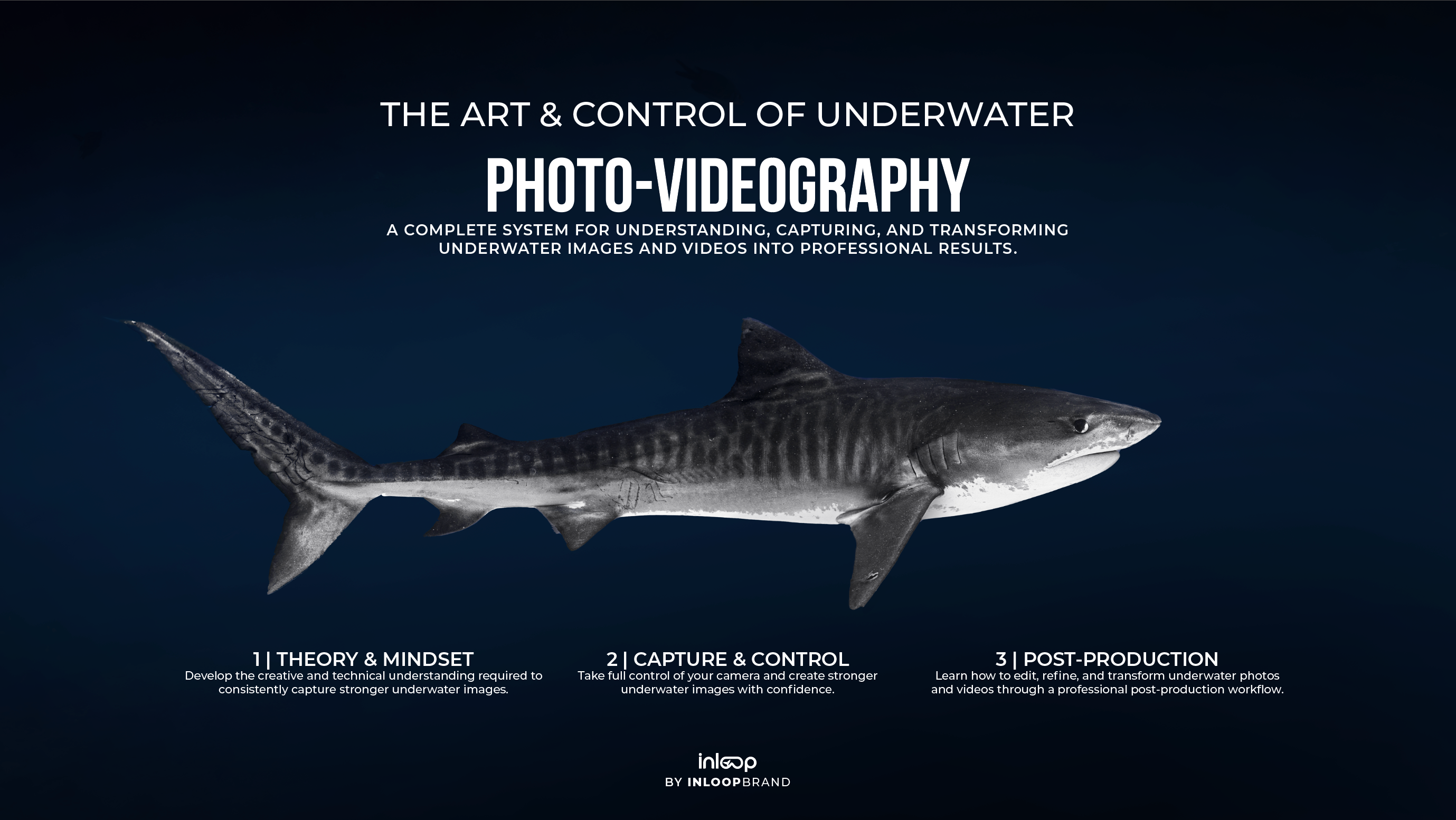 complete underwater photography and videography course