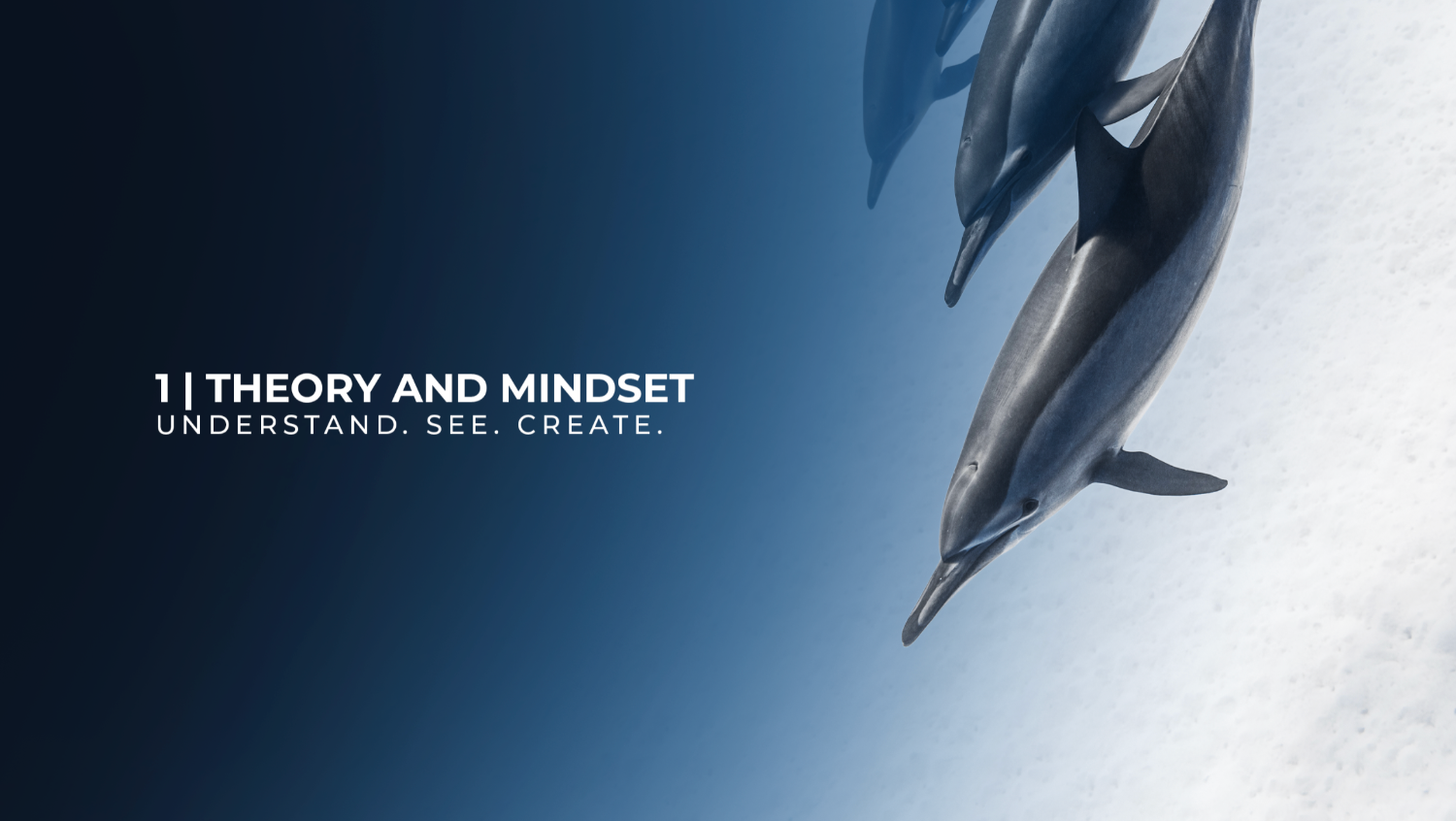 A motivational graphic with the text '1 | THEORY AND MINDSET' and 'UNDERSTAND. SEE.