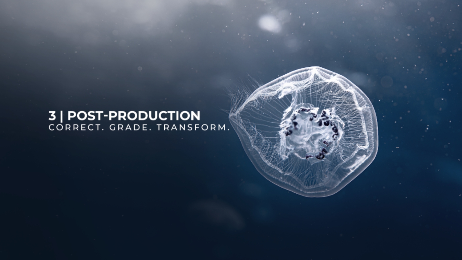 A dark underwater-style graphic with a translucent jellyfish on the right and white text on the left reading '3 | POST-PRODUCTION' and 'CORRECT. GRADE.