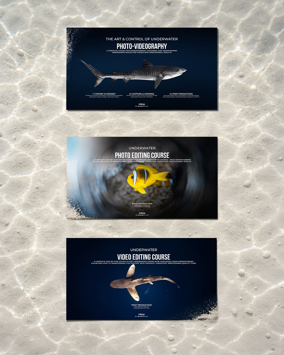 underwater photography videography course