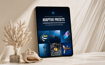 A tablet device leaning on a tabletop beside a coral-like decorative plant and a seashell, displaying a dark underwater-themed preset cover with the text 'ADAPTIVE PRESETS UNDERWATER PHOTOGRAPHY' and a small Adobe-style 'Lr' logo at the top.