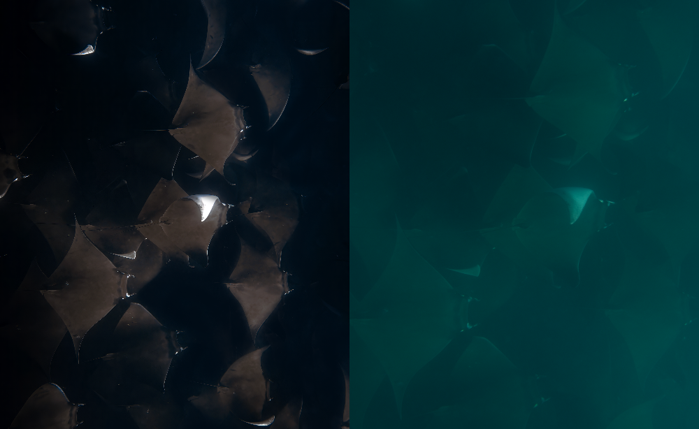 A split-screen abstract texture design. The left half is very dark, showing overlapping polygonal shapes in black and deep brown with a small bright white highlight near the center.