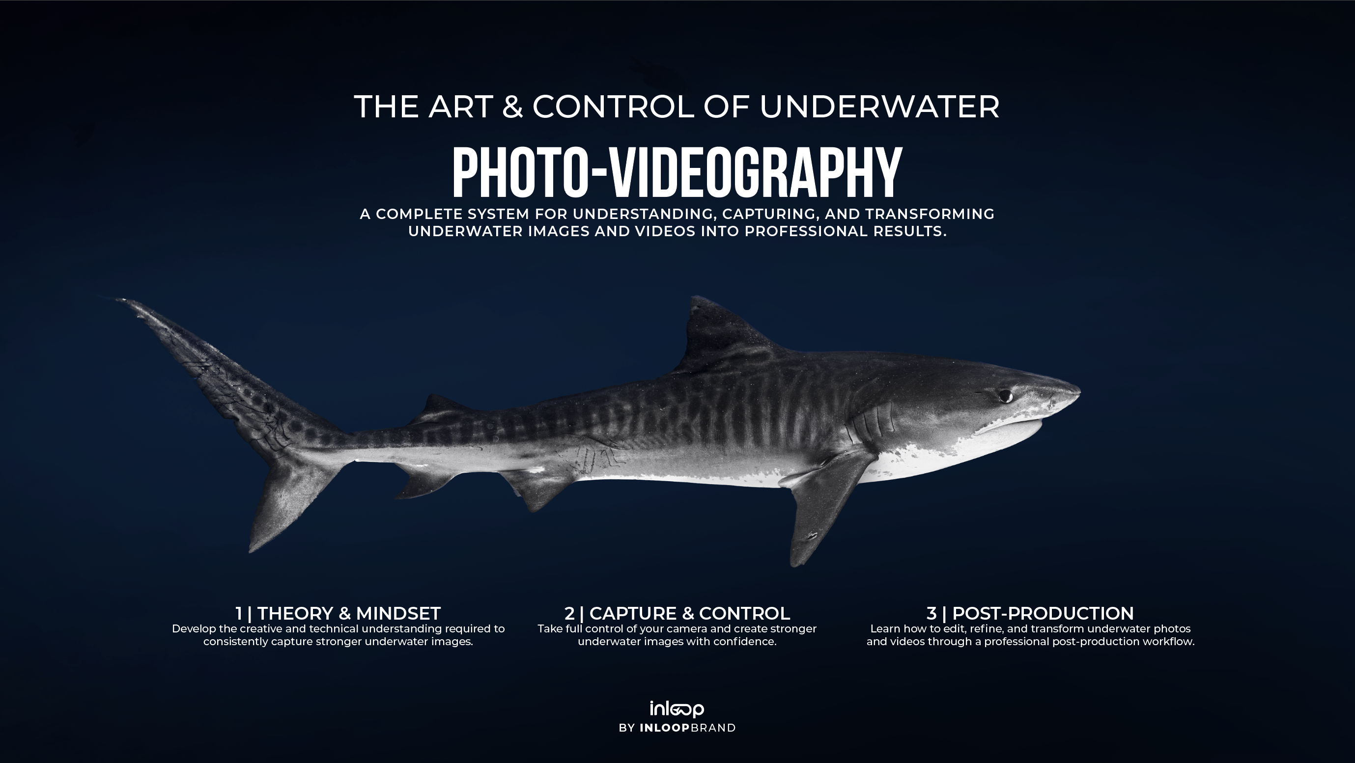 complete underwater photography and videography course