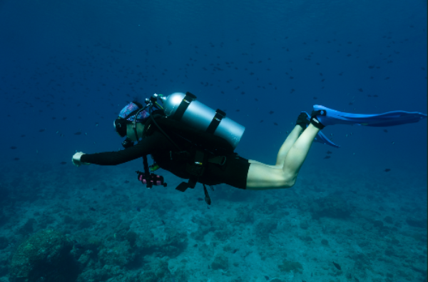 A scuba diver swims underwater in clear blue ocean water, equipped with an oxygen tank, mask, fins, and wetsuit.