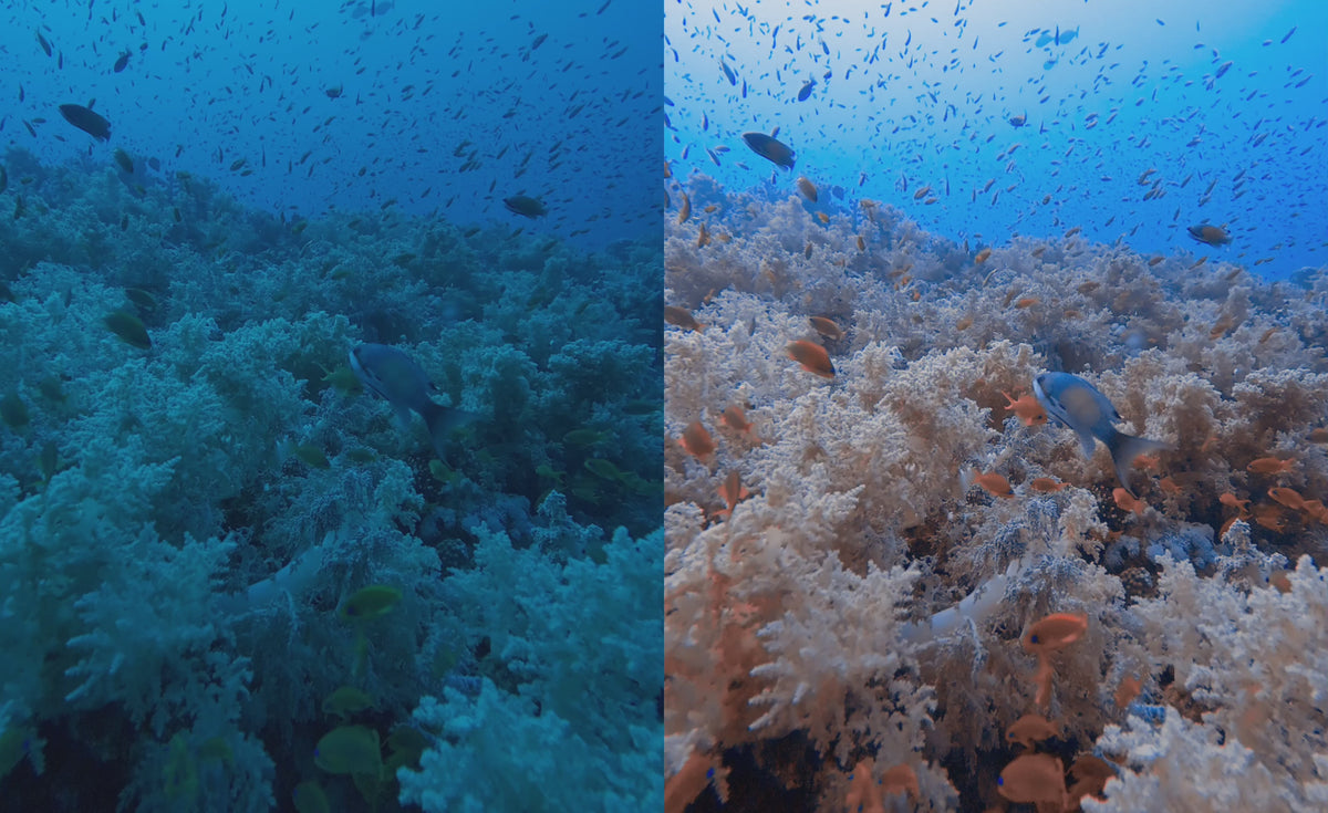 Load video: Underwater Videography Editing Course
