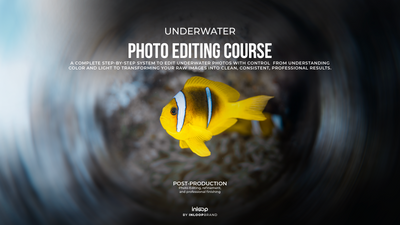 Curso de edición de fotografía subacuática