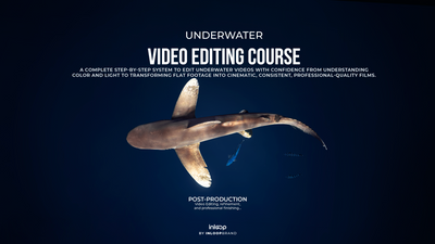 Curso de edición de videografía submarina